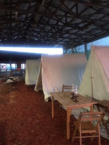 Brooksville-Boston-Battle-2023-22